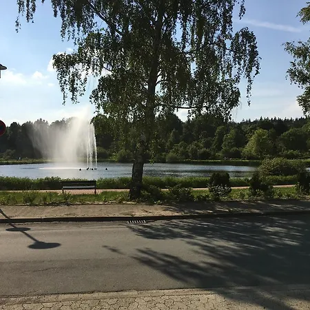 Fewo Andresen Hahnenklee Goslar Extérieur photo