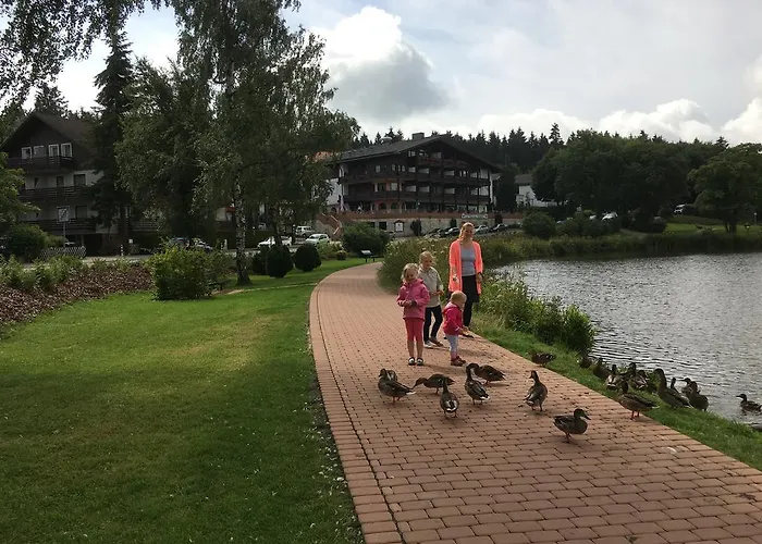 Fewo Andresen Hahnenklee